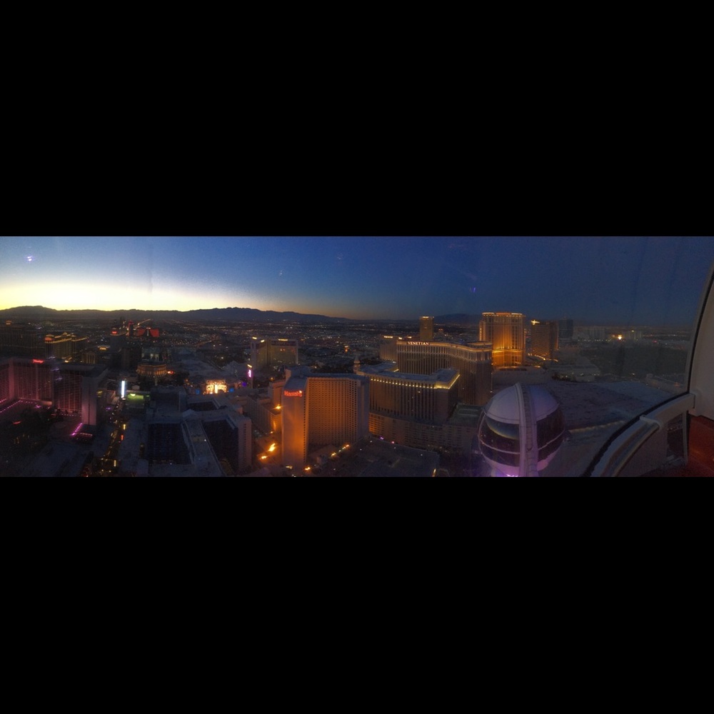 Meet your Posher, Shelley